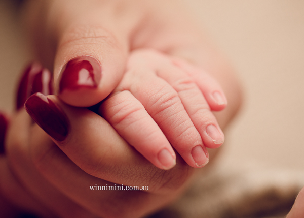 winni mini newborn baby babies older baby family birth maternity family families photography photographer photo photos tanha basile winni mini