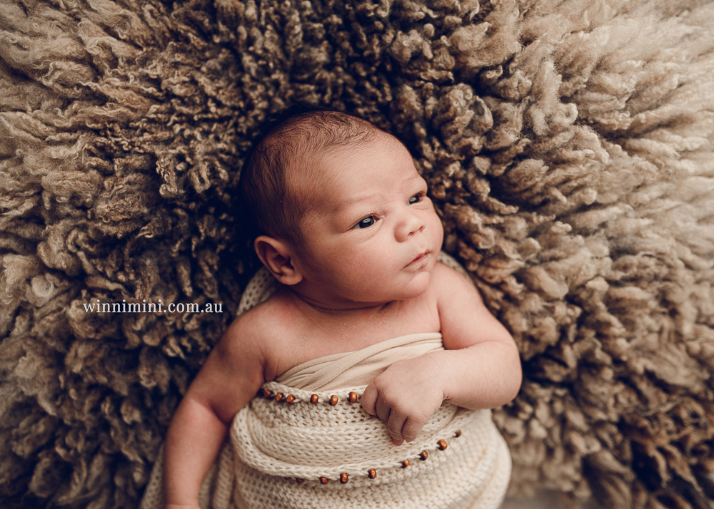 winni mini newborn baby babies older baby family birth maternity family families photography photographer photo photos tanha basile winni mini Gold Coast