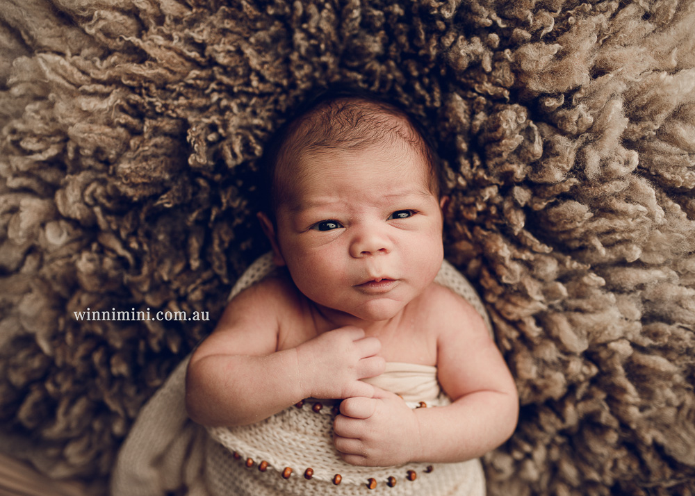 winni mini newborn baby babies older baby family birth maternity family families photography photographer photo photos tanha basile winni mini Gold Coast