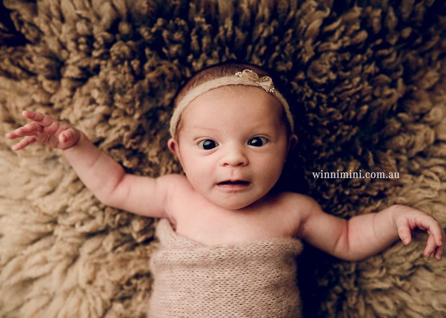 gold coast brisbane newborn baby babies family child families photographer photography photographs photo photographer winni mini tanha basile photo the best amazing upper coomera birth