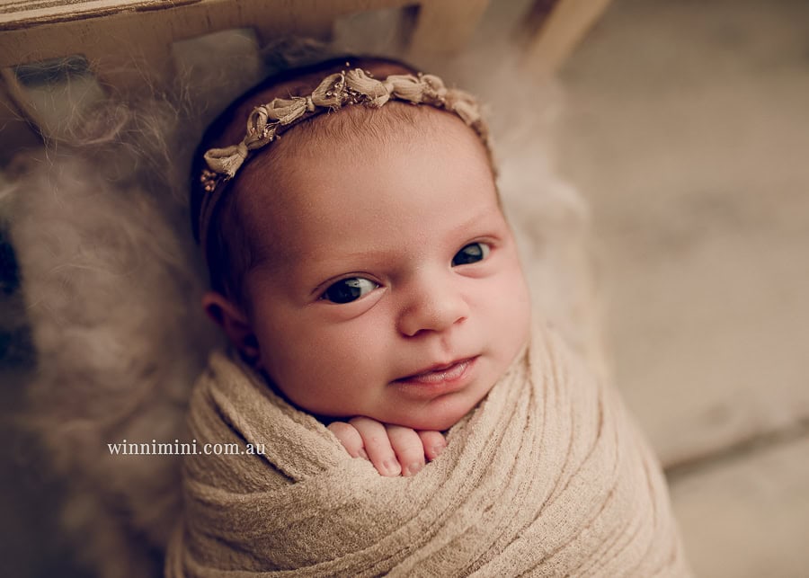 gold coast brisbane newborn baby babies family child families photographer photography photographs photo photographer winni mini tanha basile photo the best amazing upper coomera birth