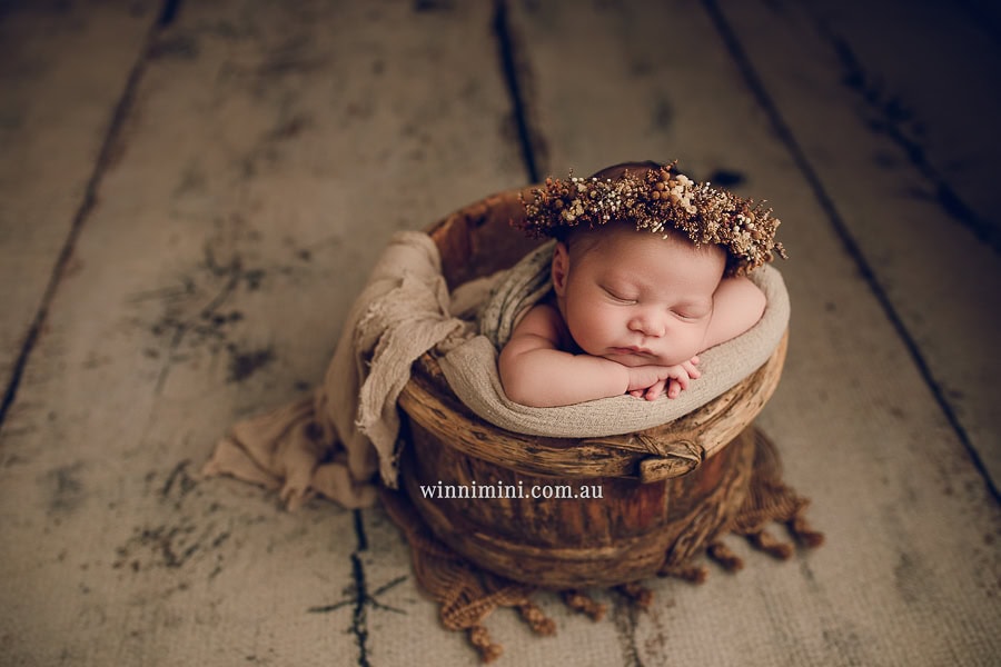 newborn baby family photographer gold coast brisbane babies