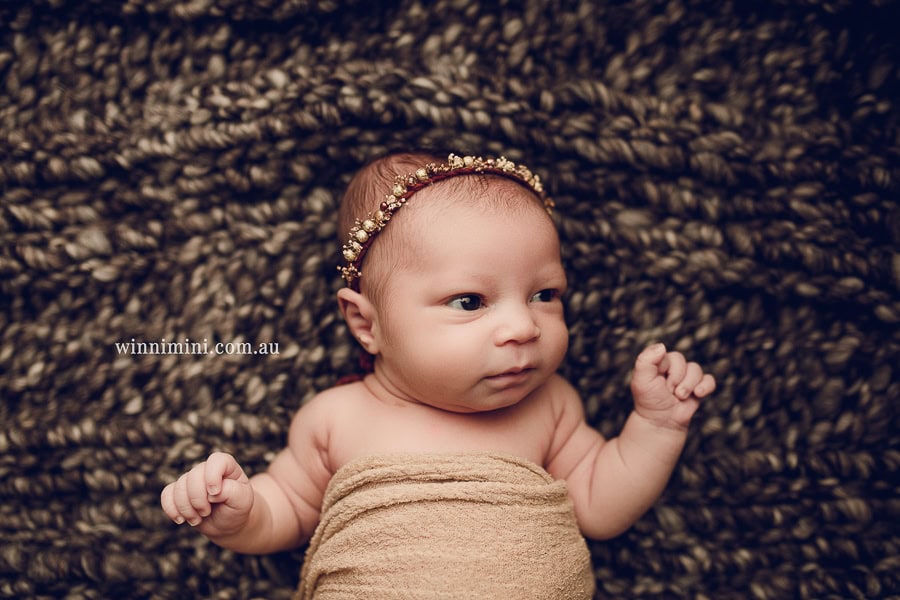 newborn baby family photographer gold coast brisbane babies