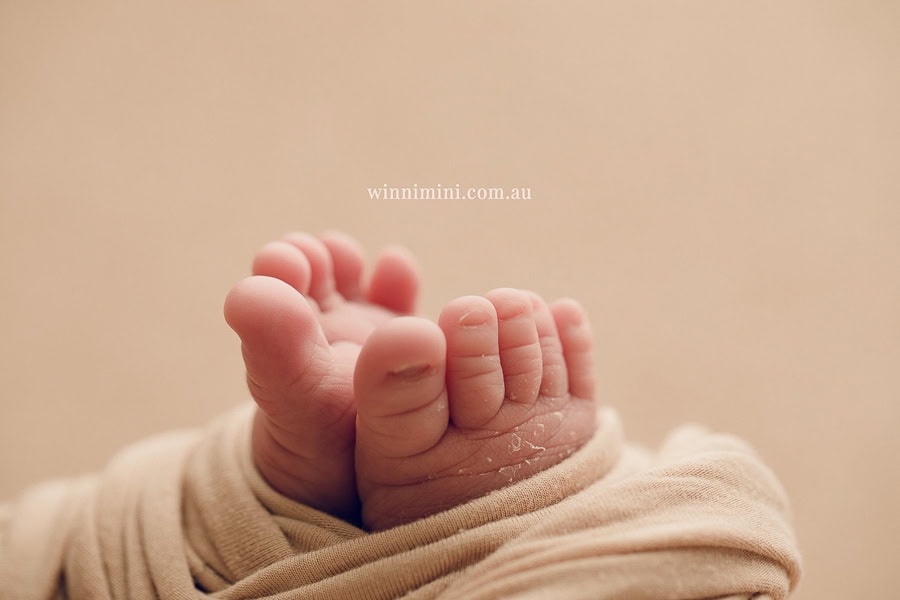 newborn baby family photographer gold coast brisbane babies