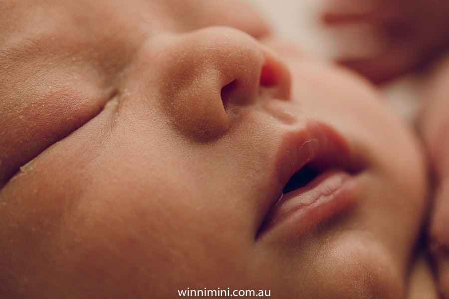 newborn baby family photographer gold coast brisbane babies