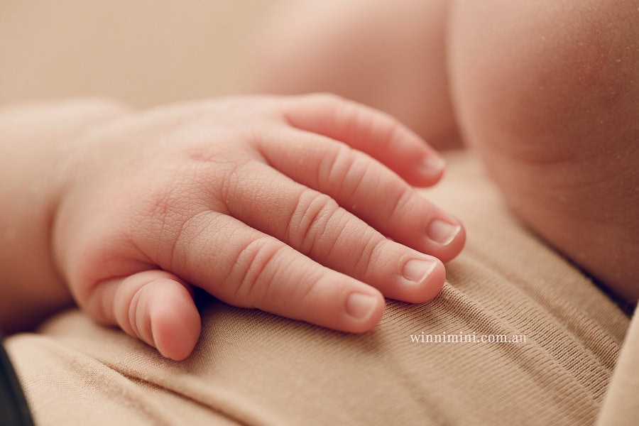 newborn baby family photographer gold coast brisbane babies