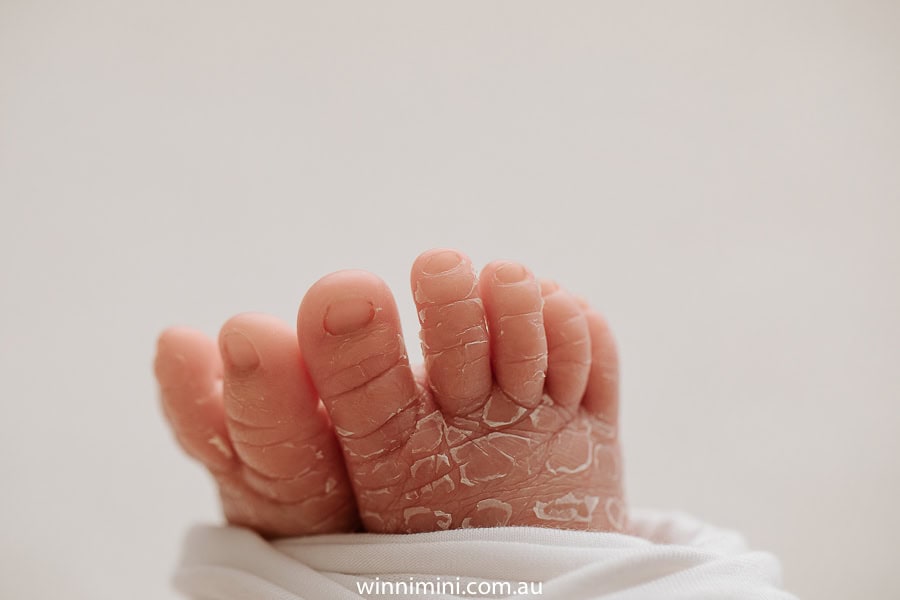 newborn baby family photographer gold coast brisbane babies