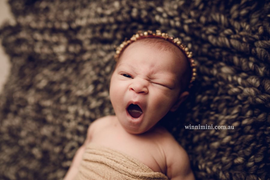 newborn baby family photographer gold coast brisbane babies