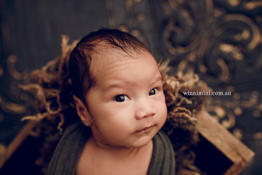 photographer gold coast brisbane babies