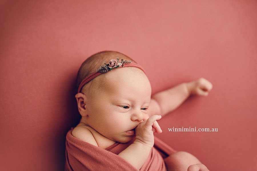 newborn baby family photographer gold coast brisbane babies