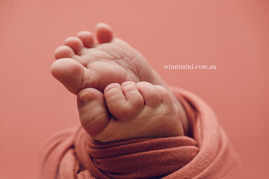 newborn baby family photographer gold coast brisbane babies