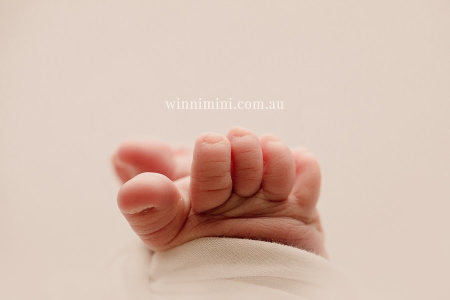 newborn baby family photographer gold coast brisbane babies