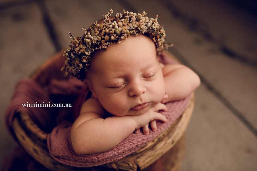 newborn baby family photographer gold coast brisbane babies