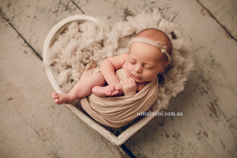 newborn baby family photographer gold coast brisbane babies