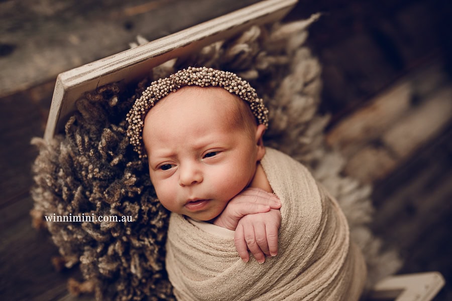 newborn baby family photographer gold coast brisbane babies