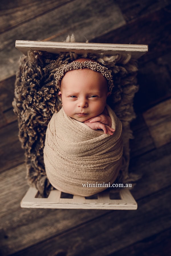 vnewborn baby family photographer gold coast brisbane babies