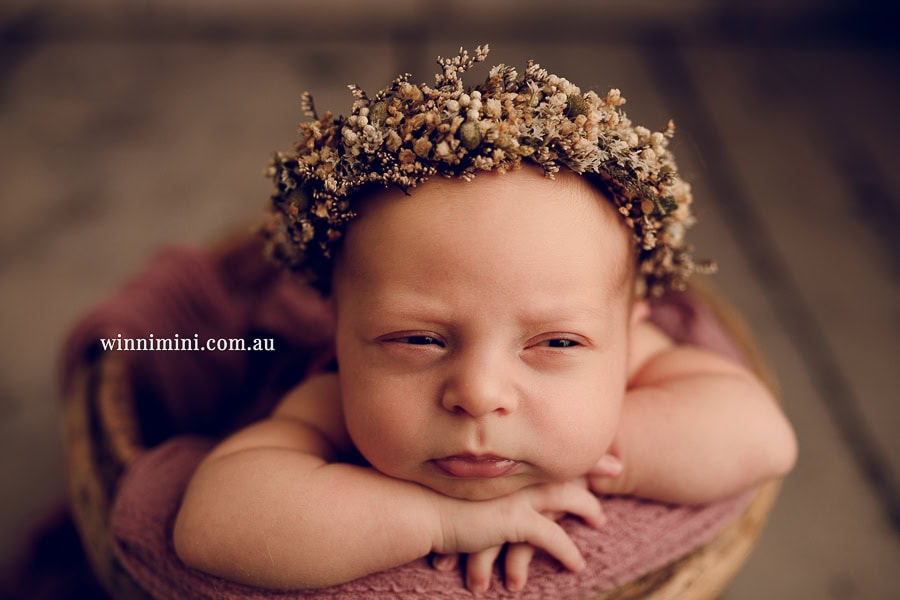 newborn baby family photographer gold coast brisbane babies