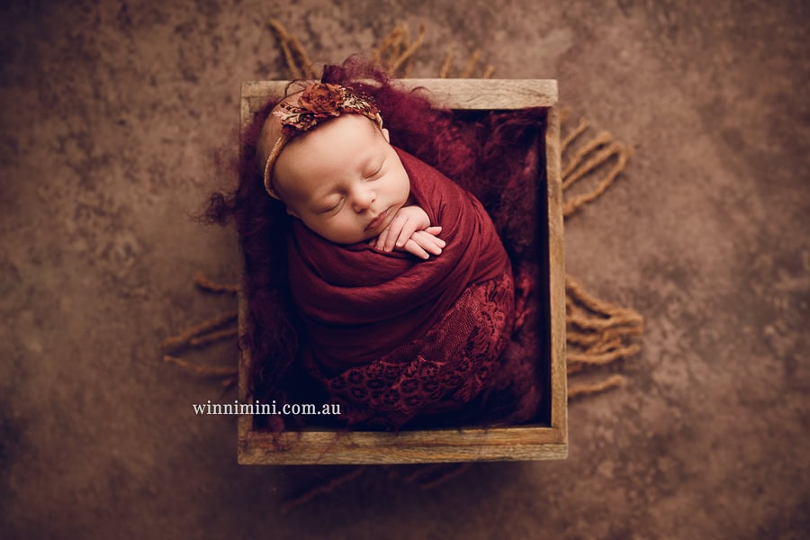 newborn baby family photographer gold coast brisbane babies