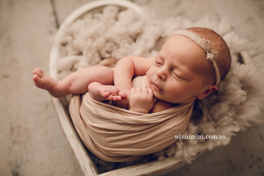 newborn baby family photographer gold coast brisbane babies