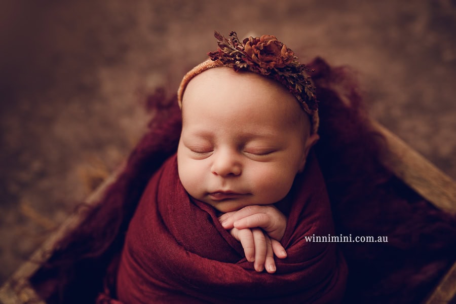 newborn baby family photographer gold coast brisbane babies