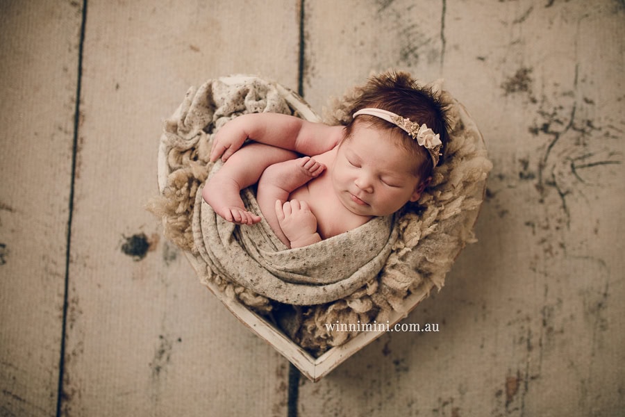 newborn baby family photographer gold coast brisbane babies