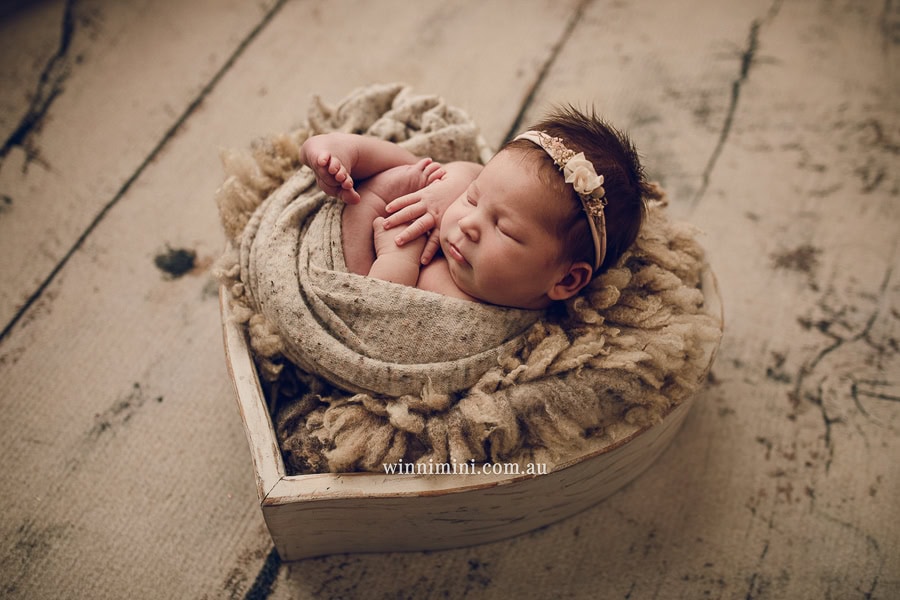 newborn baby family photographer gold coast brisbane babies