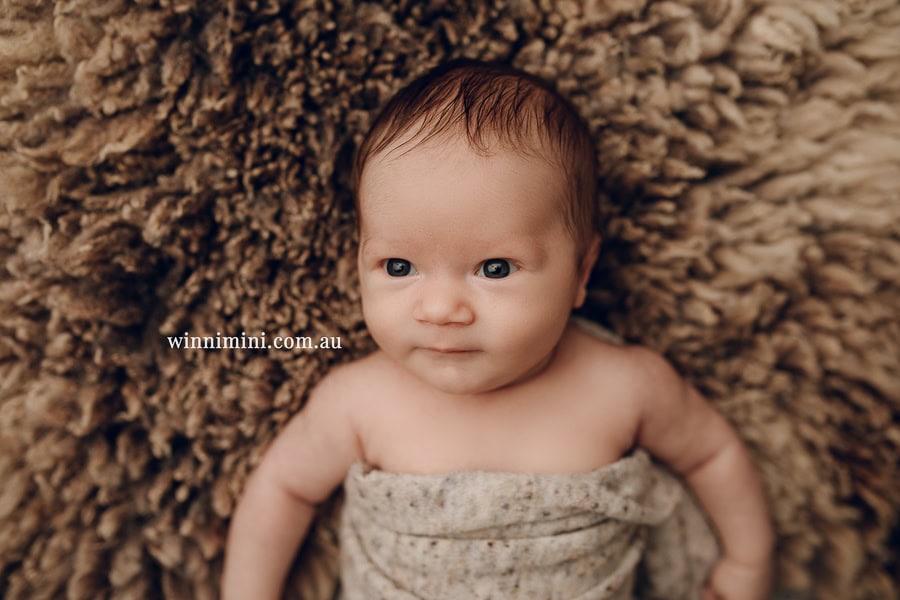 newborn baby family photographer tanha photography photograph photos photo babies gold coast brisbane the best family picture pictures tanha basile winni mini