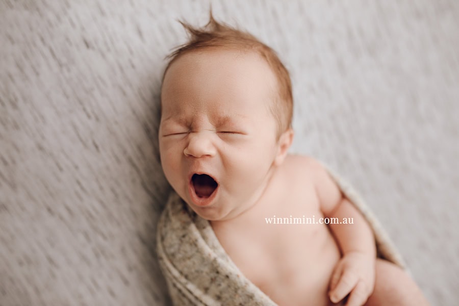 newborn baby family photographer tanha photography photograph photos photo babies gold coast brisbane the best family picture pictures tanha basile winni mini