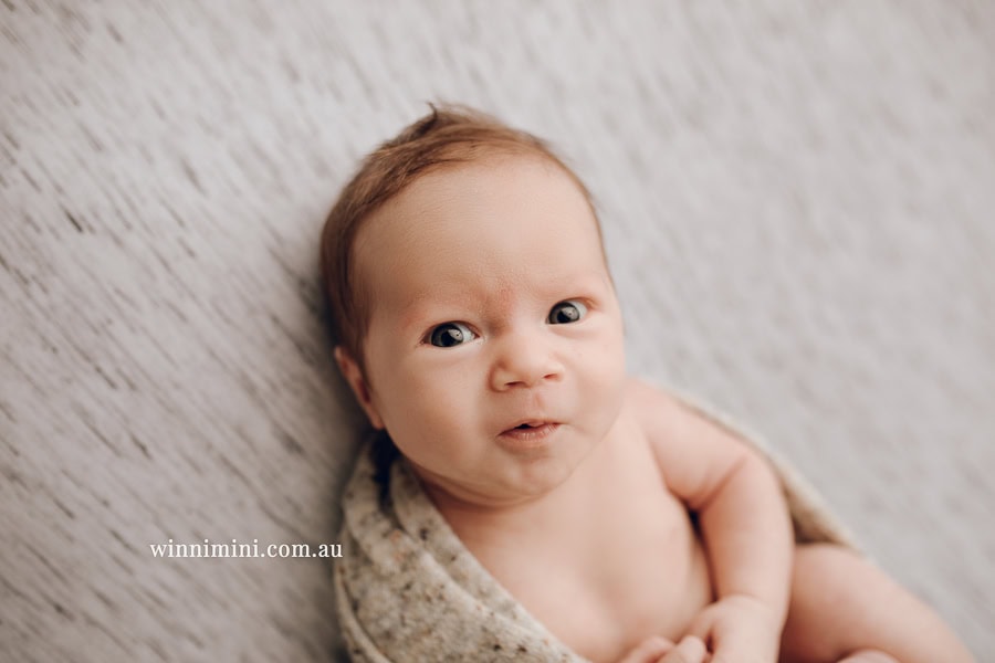 newborn baby family photographer tanha photography photograph photos photo babies gold coast brisbane the best family picture pictures tanha basile winni mini