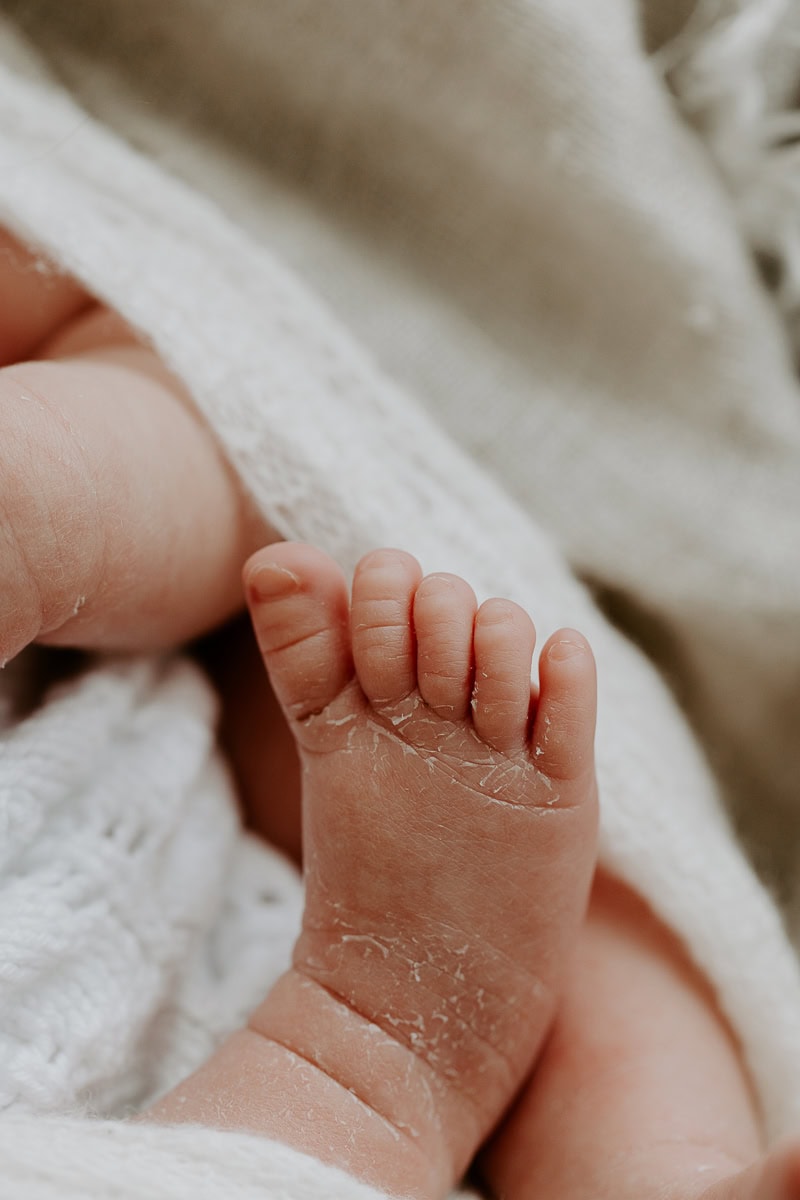 newborn baby pregnancy family maternity photographer photos studio Winni & Mini Photography tanha basile the best gold coast brisbane studio portraits