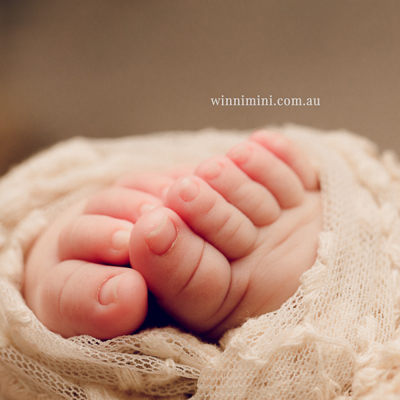 gold coast brisbane newborn baby babies family child families photographer photography photographs photo photographer winni mini tanha basile photo the best amazing upper coomera birth baby