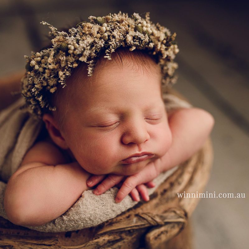 gold coast brisbane newborn baby babies family child families photographer photography photographs photo photographer winni mini tanha basile photo the best amazing upper coomera birth newborn