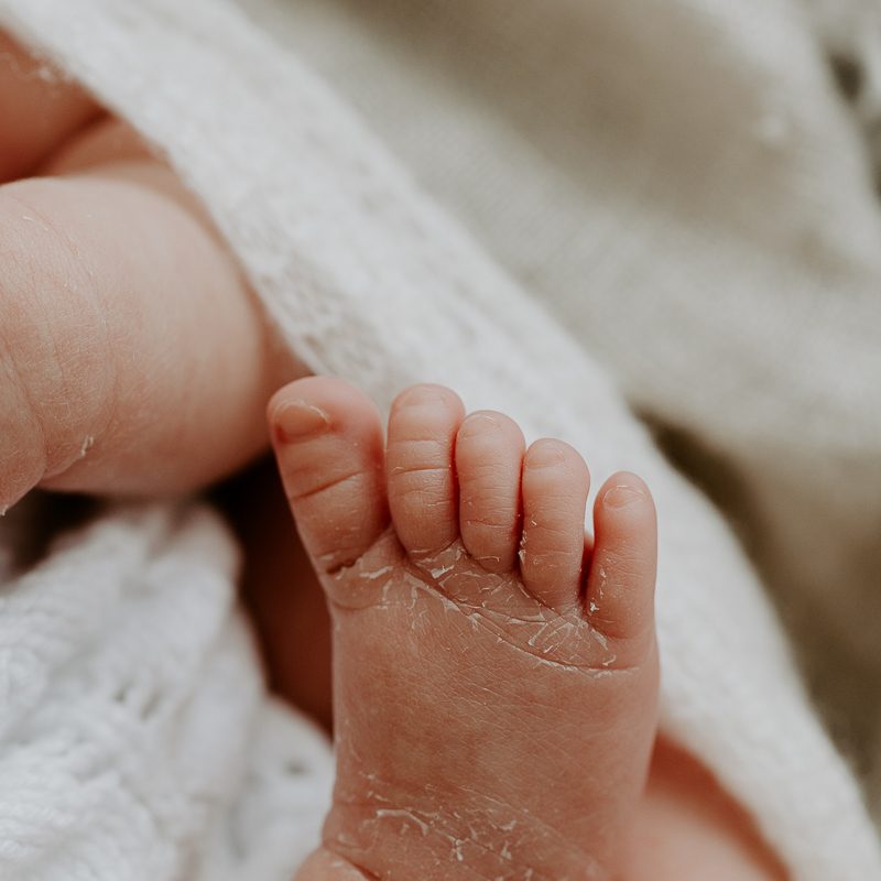 newborn baby pregnancy family maternity photographer photos studio Winni & Mini Photography tanha basile the best gold coast brisbane studio portraits