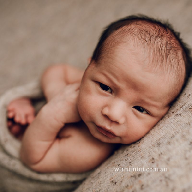 newborn baby babies older baby family birth maternity family families photography photographer photo photos tanha basile winni mini