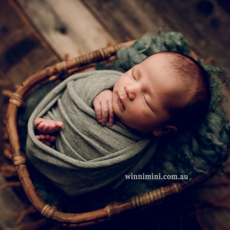 newborn baby babies older baby family birth maternity family families photography photographer photo photos tanha basile winni mini