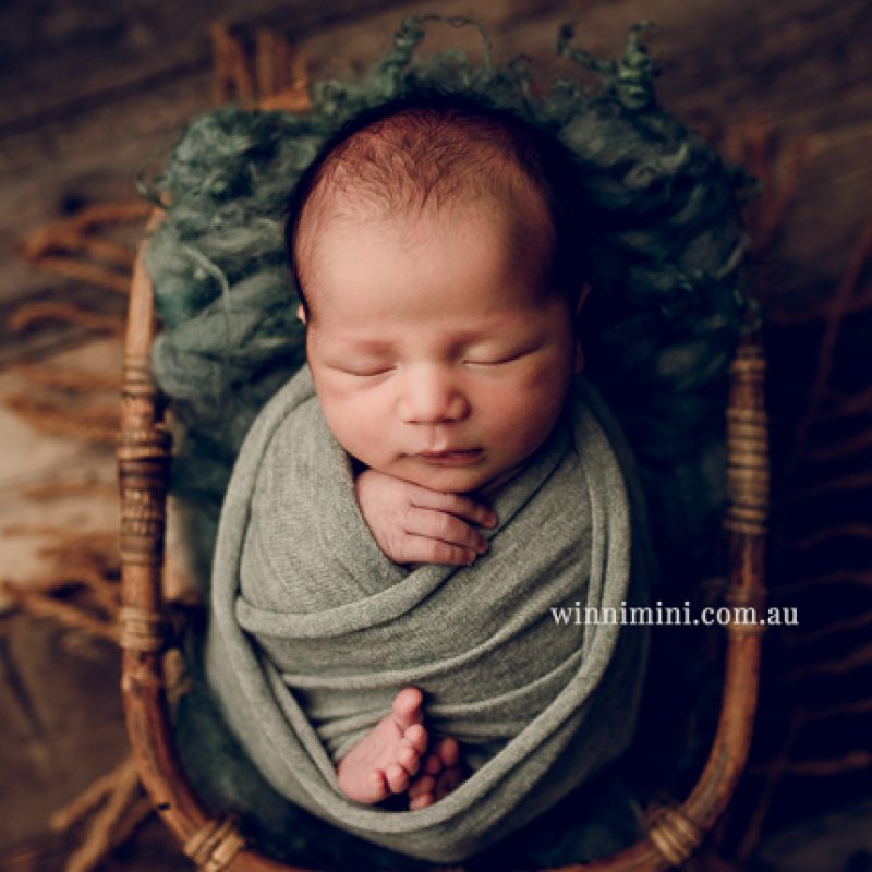 newborn baby babies older baby family birth maternity family families photography photographer photo photos tanha basile winni mini