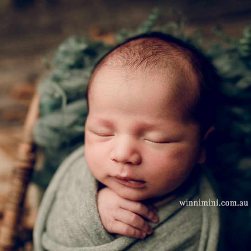 newborn baby babies older baby family birth maternity family families photography photographer photo photos tanha basile winni mini